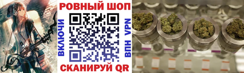 Где купить наркотики Пустошка Каннабис  Галлюциногенные грибы  Гашиш  АМФ 