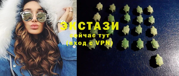 ECSTASY Ельня