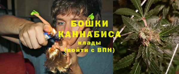 крисы Балахна