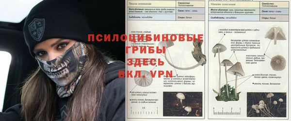 каннабис Аркадак