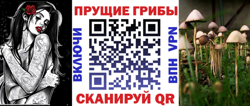 даркнет сайт  Пустошка  Галлюциногенные грибы Psilocybe 