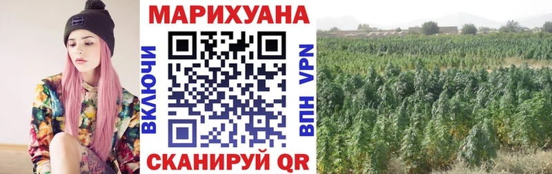 купить Пустошка Марихуана SATIVA & INDICA